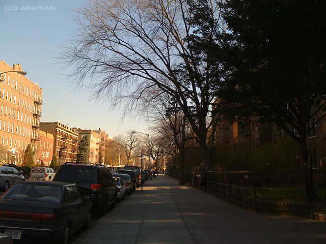 Brooklyn streets.