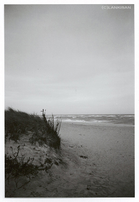 Long Island, southern shores. I do love that place. lomo.