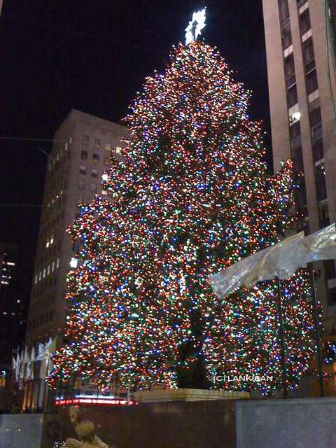 THE Christmas Tree, Rockefeller's.