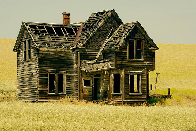 "I revisited this abandoned house for the second time in 30yrs. i was surprised it was still standing and was in such good shape. The wheat field surrounding the house is really this bright yellow in july. On Emerson Loop Rd. near The Dalles.......Central Oregon". Photo by swainboat